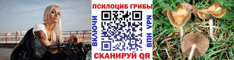 Галлюциногенные грибы мицелий  Джанкой 