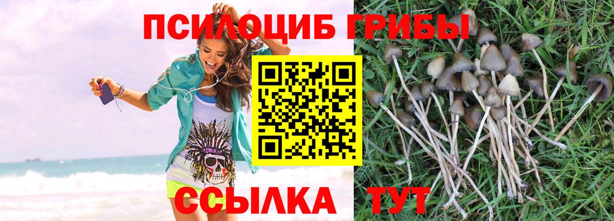 Галлюциногенные грибы Magic Shrooms  Джанкой  Галлюциногенные грибы ЛСД 
